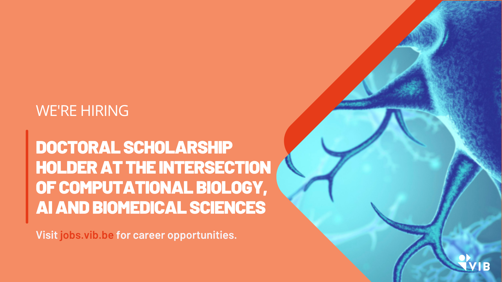 biomedical science phd scholarship